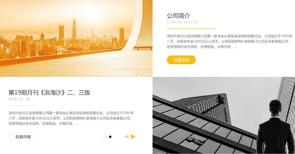投資公司網(wǎng)站設計2