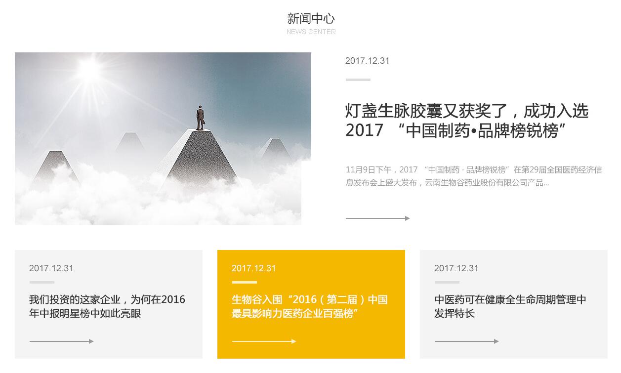 投資公司網(wǎng)站設計4